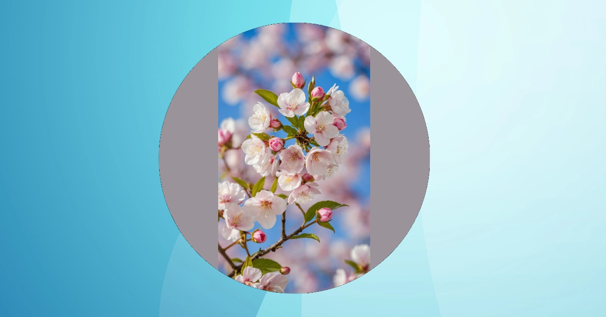 Cute and Aesthetic: 13 Wallpapers to Brighten Your Lock Screen