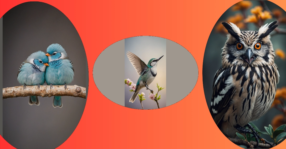 **Chirp It Up: 13 Bird Wallpaper Ideas for a Charming Bedroom Makeover**